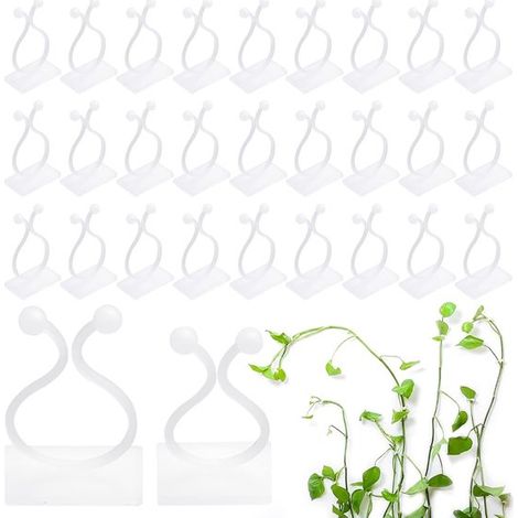 Clip on Stütze für Monstera Kokosfaser Moosstab zur Pflanzenstützung Kletterhilfe für Zimmerpflanzen wie Monstera 2er Pack 30 cm lang mit Jutesch (1/5)