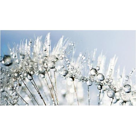 Lupia Quadro Moderno, Vetro Acrilico Plexy, Facile da appendere, da parete, stampa con Colori intensi, prodotto in Italia, 100x180 cm DANDELION WHITE (1/4)