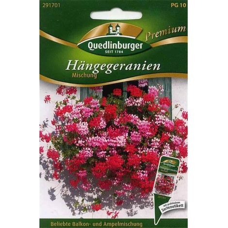 Quedlinburger Hängegeranien Mischung - Blumensamen (1/2)
