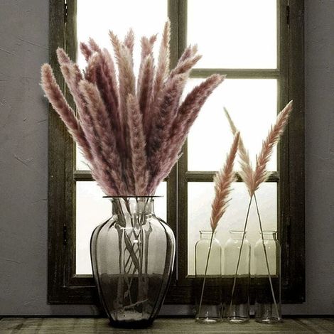 LangRay Pampasgras 30 Pcs Getrocknete Pampaskräuter Natürliche Trockenblumen Phragmites Communis Bouquet Künstliche Blumen für Heimwerken Küche Hochzeit Tisch Blumenarrangements Vase Decor (1/5)