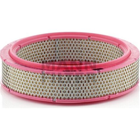 Filtre à air Mann Filter C2436/1