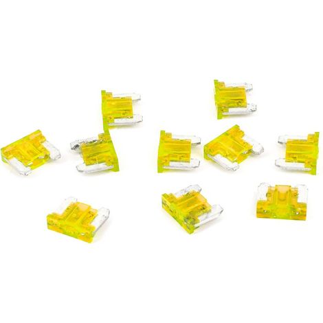 Micro Fusible 20A X10pcs