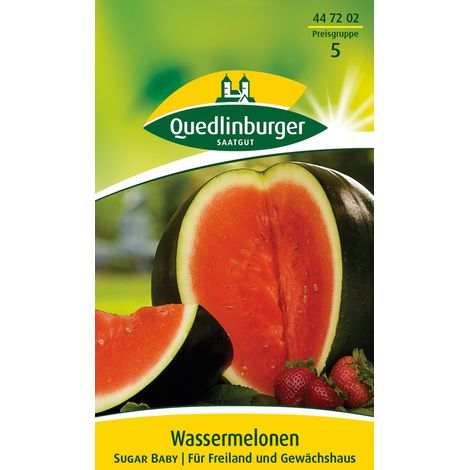 Quedlinburger Saatgut – Pastèque Sugar Baby – Graines de légumes, fruits de 3 à 4 kg, chair rouge intense, pour env. 20 plants (1/2)