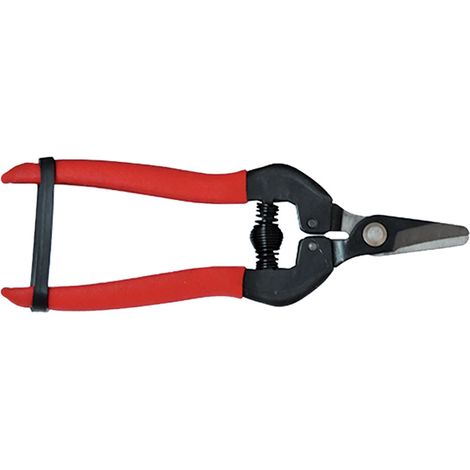 FORBICI COGLIUVA cm 16 - pz. 1 - Blister Koncreto