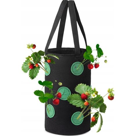 Bolsa para maceta colgante con pollo, tomates, fresas y fresas silvestres (35 unidades)