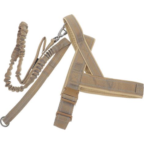 Conjunto de arnés y correa para perros, ajustable, para entrenamiento al aire libre (1 unidad). (1/5)