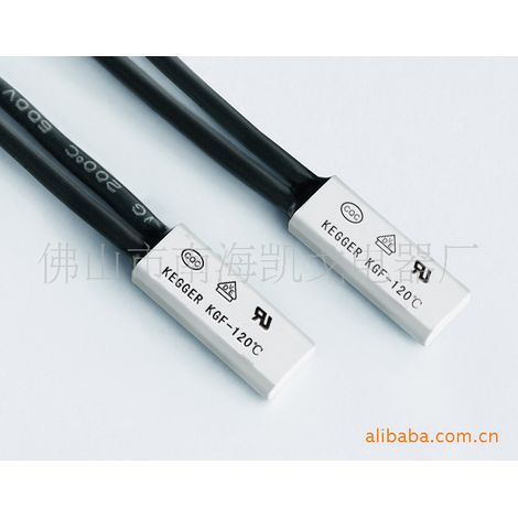 BW-ABS thermal protector, temperature control switch (illustrated)