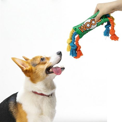 Jouet interactif pour chien - Corde avec couineur - Convient à tous les chiens - Soins dentaires et éducation - Réduction du stress - Coloré et résistant - 1 pièce (1/4)