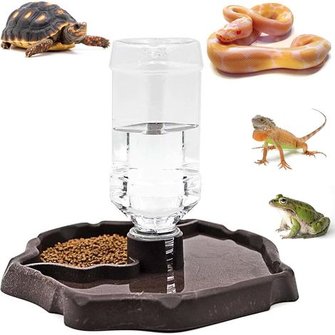 Distributeur d'eau 2-en-1 pour reptiles, portable, adapté aux tortues et geckos, avec plateau en plastique, pratique pour terrarium et habitat de petits reptiles (1/4)