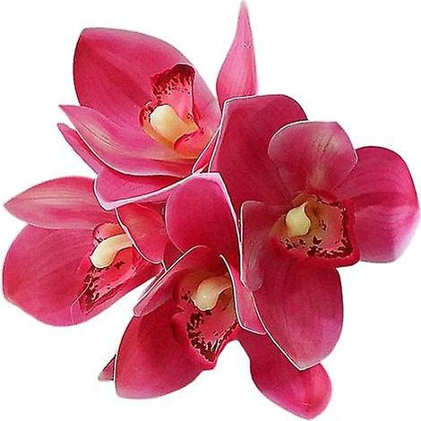 Fleur en soie artificielle, imitation exquise et pratique au toucher ultra réaliste, cymbidiumrose foncé (1/5)