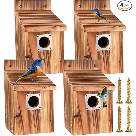 Nichoir Oiseaux Exterieur, Maisons d'oiseaux avec protège-métalliques, serrures de sécurité, Fentes de vol (1/5)