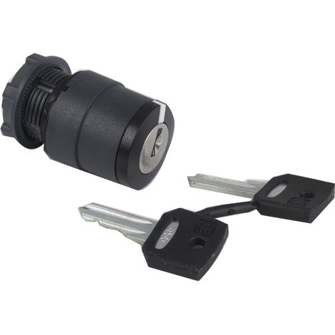 Testa selettore a chiave Ø22 - 2 pos. - Ronis 455 - estraz.chiave SX - ZB5AG2