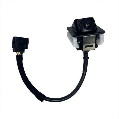 Garniture de cache d'aération latérale d'aile avant pour Ford Taurus 2013-2019 (1/5)