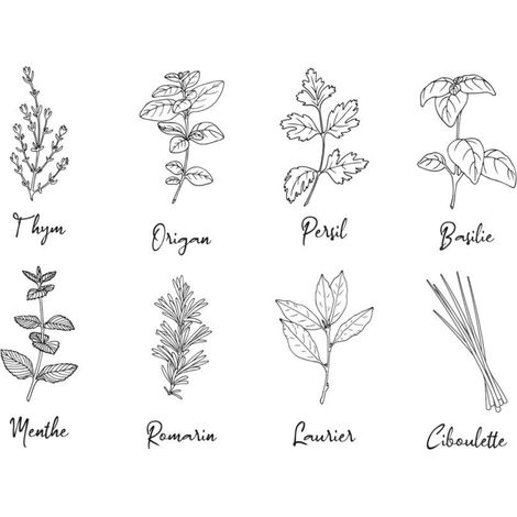 Stickers muraux aromates (1/2)