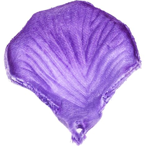 Petalles De Rose Artificielles - Tissu Non Tissé - 4 5 Cm - Pour Décoration De Mariage Fête Événement - 1000 Pièces (1/5)