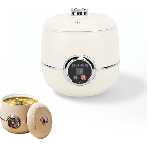 Mini Cuiseur à Riz 1,6 L - Numérique avec Couvercle Amovible, Multifonctionnel, Portable (1/5)