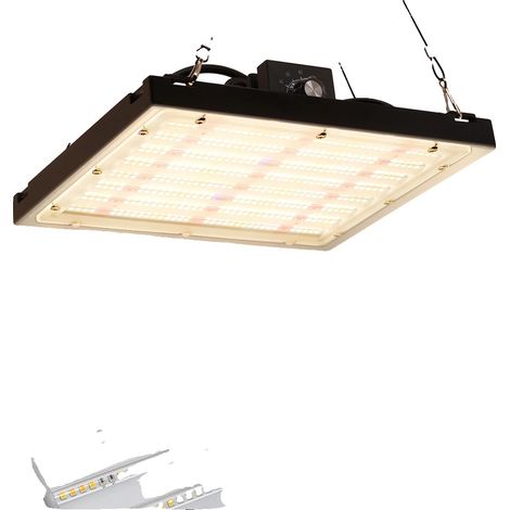 Kabelloser Lautsprecher, kompaktes Design, vielseitige Anschlussmöglichkeiten, schwarz (1/5)
