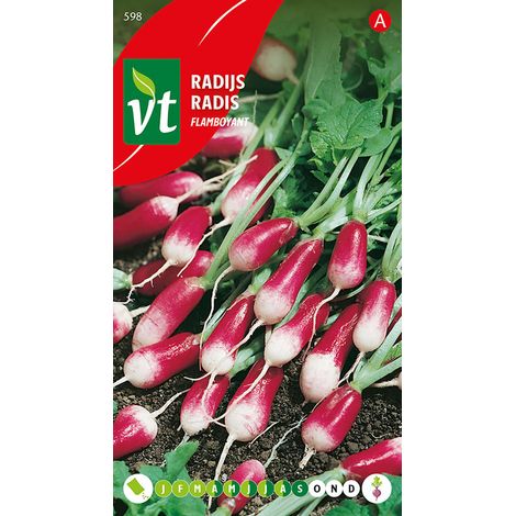 Radis Flamboyant - Ca. 10 gr (Livraison Gratuite) (1/2)