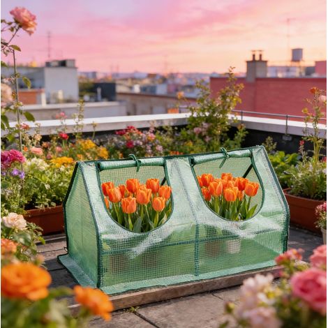 Mini serra da balcone con 2 finestre PE acciaio OKMYHOME (1/5)