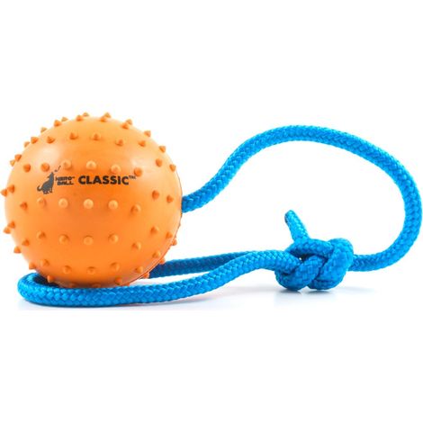 Lanceur de Balle en Caoutchouc pour Chien - Jouet d'entraînement et de récompense - Jouet à mâcher pour Chien (7 cm) (1/5)