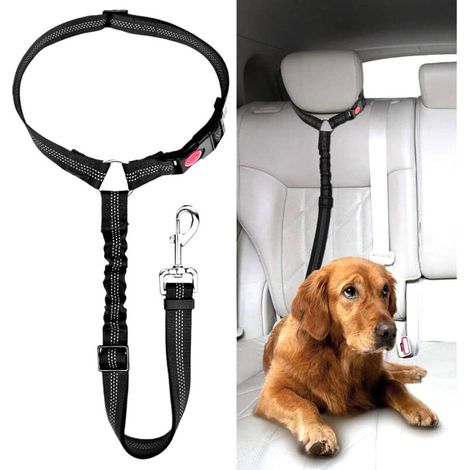Ceinture Chien Voiture, Universel Harnais Voiture Réglable pour Chien & Chat avec Absorption des Chocs,Harnais Voiture pour Chiens,Ceinture de Sécurité pour Chien (1/5)