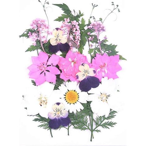 Transparente Lesezeichen aus Trockenblumen, selbstgemachte schöne Lesezeichen aus Blumen, DIY-Lesezeichen aus Trockenblumen (1/4)