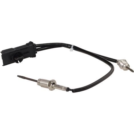 FT13933 schneller Abgastemperatursensor (1/5)