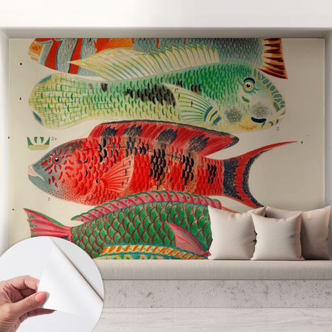 Papier peint autocollant adhésif décoratif avec motifs pour salon et chambre a motif Poissons exotiques 208x146 cm (1/5)