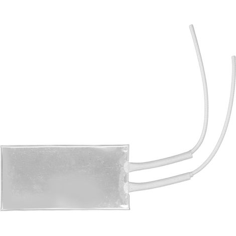 Plaque chauffante thermostatique PTC en acier inoxydable 100 x 50 mm 120 W 220 V pour ventilateur de voiture (1/5)