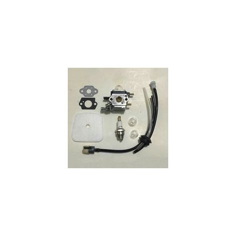 Filtre à huile de carburateur C1U-K54A, C1U-K82, durite d'huile, bougie d'allumage et autres ensembles - Crezuo (1/3)