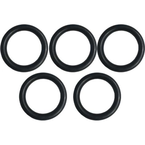 GROHE O-Ring (5 pezzi), 0319100M