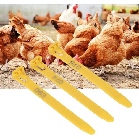 Bagues d'identification pour animaux avec numéros 1-100 pour poules, pigeons, canards, poussins 100 pièces réutilisables PP (1/5)