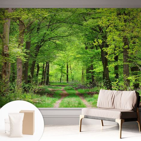Carta Da Parati - Fotomurale In Vlies - per Decorazione pareti - Per La Cucina Camera Da Letto Per La Soggiorno Sentiero nel bosco 312x219 cm (1/5)