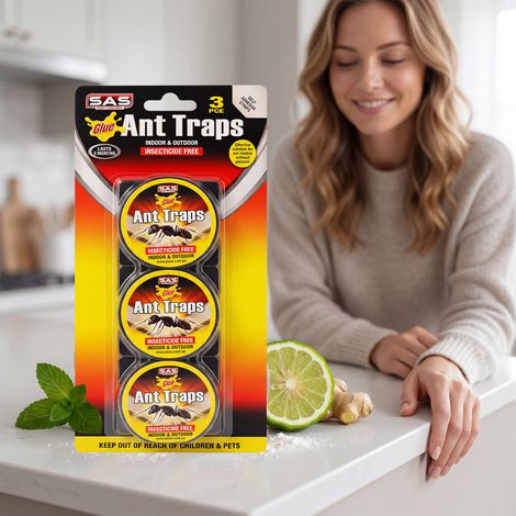 Ant trap box for home use, kitchen, living room, toilet. Easy-to-use ant bait, ant trapping and repelling universal box -- 3 pcs -- BIEMMEDUE (1/5)
