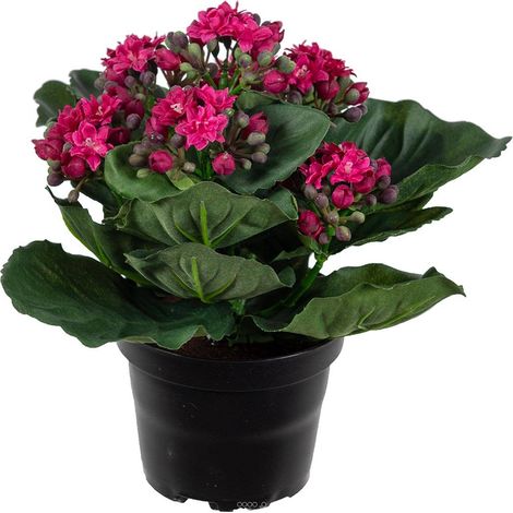 Kalanchoé artificiel en pot H20 cm adorable et très dense Rose fushia - couleur: Rose fushia 730 (1/2)