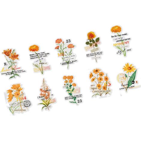 10 feuilles d'autocollants transparents à fleurs en PET, style vintage, pour la décoration de cahiers et manuels (type 2). (1/5)