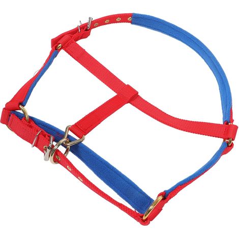 Licol Réglable pour Cheval Rouge en Sangle Tissée Pp Compétitions et Entraînement Équestre, Taille Ajustable, Usage Polyvalent pour Équidé (1/5)