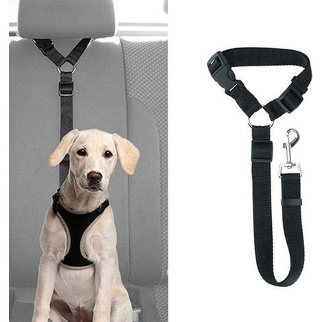 Ceinture de sécurité pour chien - Ceinture de voiture réglable pour chien - Laisse de sécurité - Noir