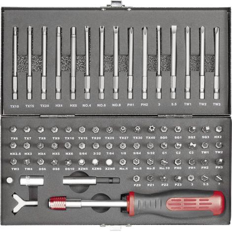 Toolcraft – Jeu d'embouts pour visseuse 820952 – 75 pièces – Longueur 75 mm – Acier allié pour vis à fente, 6 pans intérieurs, Clutch, Tri-Wing, TORQ-SET® (1/3)