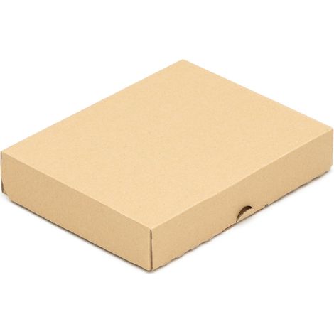 400 Maxibriefkartons 255 x 200 x 46 mm Post Versandkartons Wellpappe Kartons braun (1/4)