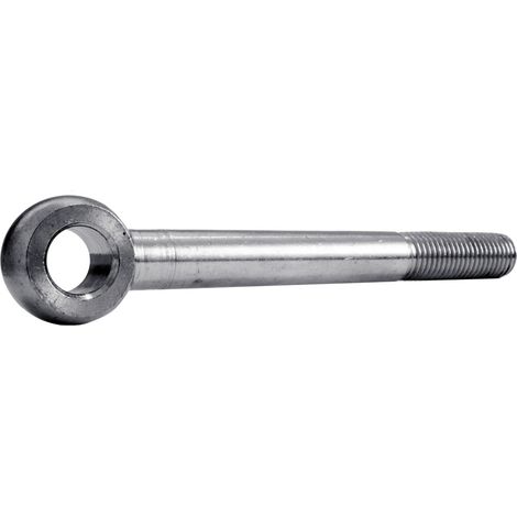 Reidl DIN 444 Augenschrauben Form B, M 20 x 160 A4 blank
