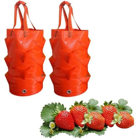 Erdbeer-Pflanzsäcke (Orange), Pflanzsäcke zum Aufhängen, 8 Löcher, für Erdbeeren, Kartoffeln, Tomaten, Blumen und Gemüse, 3 Gallonen