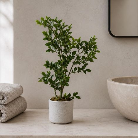 45cm Artificial Aglaia Odorata Bonsai Ficus Tree Premium (1/5)