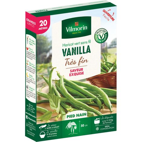 Haricot Nain Vert Vanilla - 20 m Vilmorin (1/2)