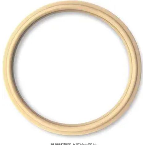 Joint d'objectif pour projecteur de piscine 79101600Z, compatible avec les projecteurs Ameralite, remplaable pour 79104800 (1/5)
