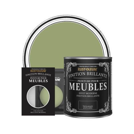 Peinture pour Meubles Brillante - Terrain Connu (1/3)
