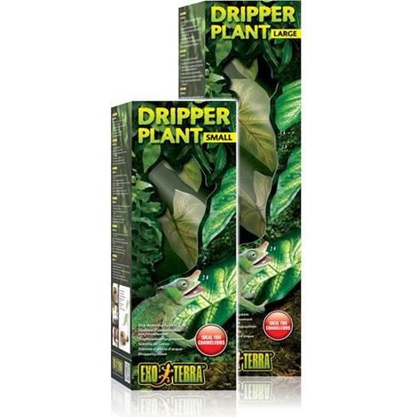 Water Dripper Plant Large - Exo Terra (1/3)