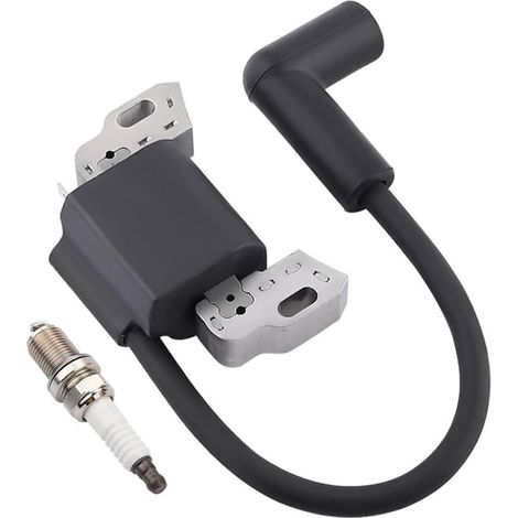 Bobina di accensione compatibile con i codici 799582, 798534, 593872, 595009. Sostituisce le serie di motori 08P502, 09P602 e 09P702 con candela. (1/5)
