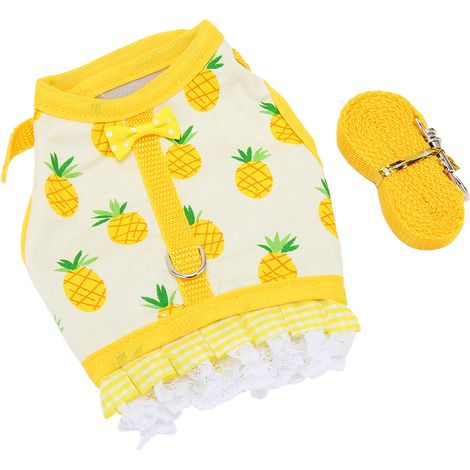 Harnais pour petits animaux (chinchilla, furet, etc.) : harnais, laisse, imprimé fruits, ourlet en dentelle, fermeture velcro, taille S. (1/5)
