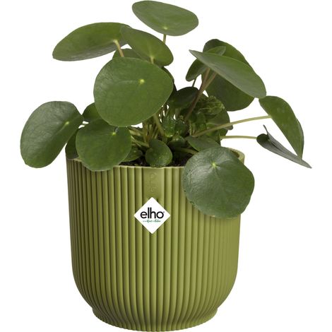 Vaso Vibes Fold Round D 16 x H 15 cm Verde Felce ELHO